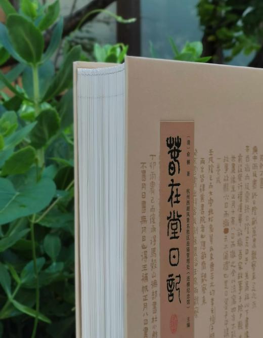 限量毛边本！！《春在堂日记》，12开精装函套，俞樾著，浙江摄影出版社2024年4月一版一印，366页，定价380，毛边本售价323元，普通版售价：285 商品图4