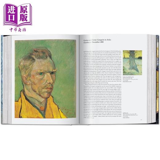 预售 【中商原版】Van Gogh The Complete Paintings 进口艺术 梵高作品全集 现当代艺术印象派画集画册 商品图2