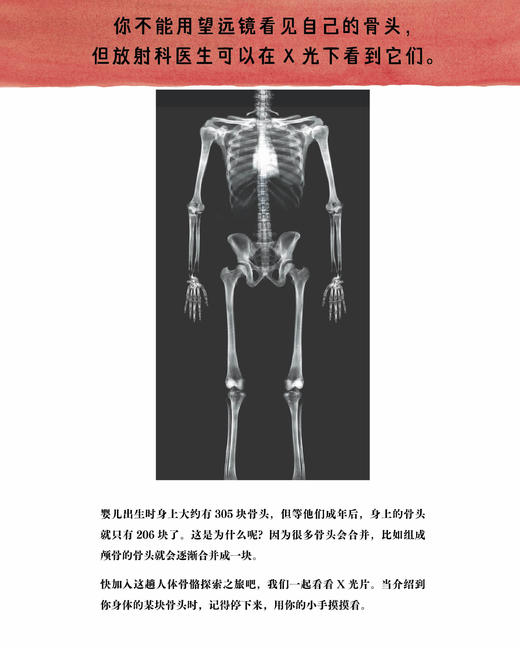 《给孩子星期八》（全9册） 商品图10