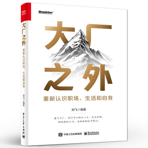 大厂之外 重新认识职场 生活和自我  突破大厂思维的局限 认知视角 思维模式和生活态度 个人成长和职业发展书 刘飞 编 商品图0