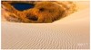 大美新疆——金秋南疆风情、沙漠胡杨超级大环线18天摄影创作团 商品缩略图0