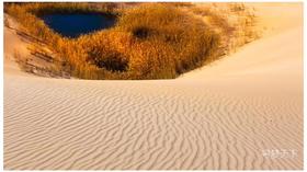 大美新疆——金秋南疆风情、沙漠胡杨超级大环线18天摄影创作团