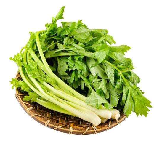 龙门山芹菜 约300g/袋（新鲜） 商品图0