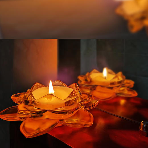 【华中】典草纲目2盏莲花 商品图1