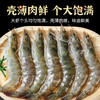 心选丨大黄鲜森冷冻秘鲁20/30海虾海鲜水产大虾1.8kg/箱 商品缩略图4