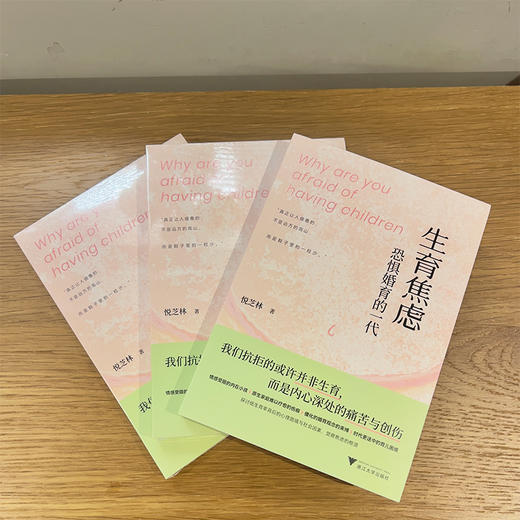 生育焦虑 恐惧婚育的一代 商品图3