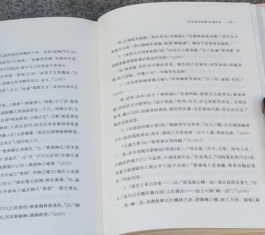 《诗注要义》，精装，上下两册，陈永正著，上海古籍2018年版，2019年二印，定价148，售价69 商品图14