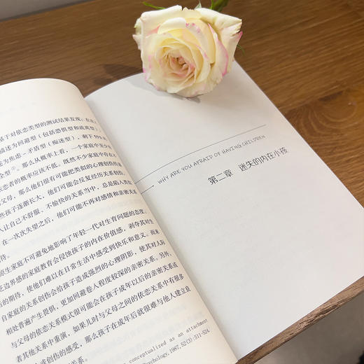 生育焦虑 恐惧婚育的一代 商品图4