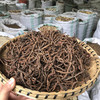 小红参 云南地方草药 云南野生小红参 非传统红参 商品缩略图0