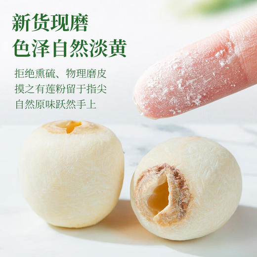 神农金康 湘莲子250克/罐 通心磨皮干货银耳糯耳羹配料 原生态真滋补 喝护家人健康 商品图4