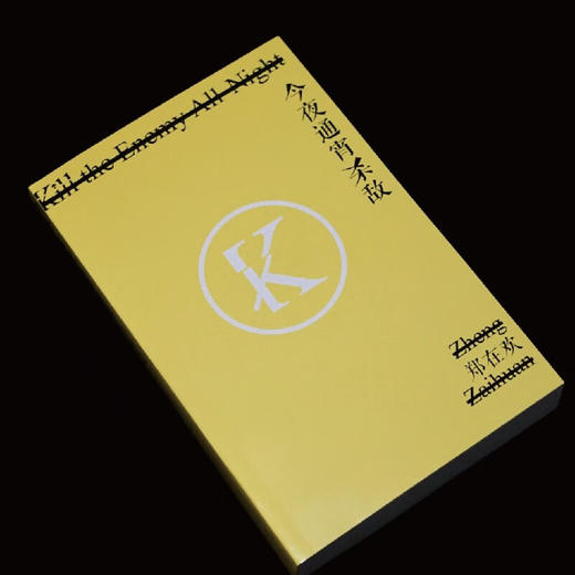 今夜通宵杀敌（第四届钟山之星年度作家，《驻马店伤心故事集》后，驻马店青年郑在欢又来啦！） 商品图5