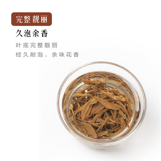 花果香有机红茶50泡*3.3g=165g/套  花香果香 特级嫩芽  暖心红茶 商品图8