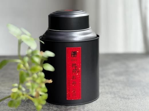 2019太姥山抛荒白牡丹《春山空》（100克罐装） 商品图0