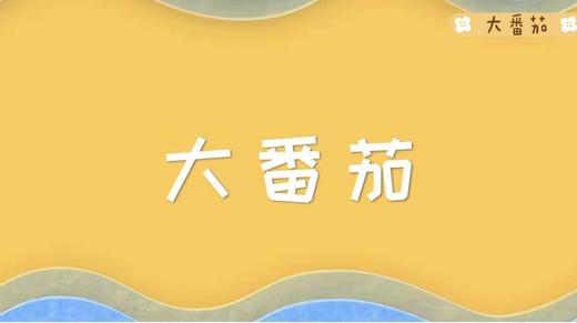 大番茄 商品图0