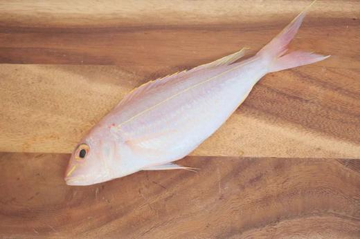 D广远红杉鱼(海钓金钱鱼) 商品图2