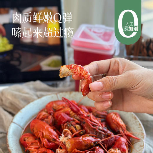 【69元3盒 预售3天】【小龙虾】夏日快乐美食  吃个过瘾 肉质肥厚 麻辣/蒜蓉/十三香700g*3盒 商品图0