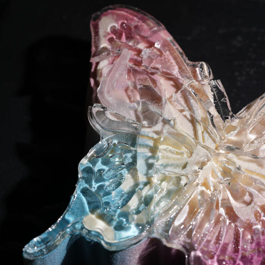 霓虹仙子 商品图5