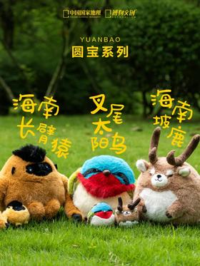 圆宝系列 | 海南系列齐亮相