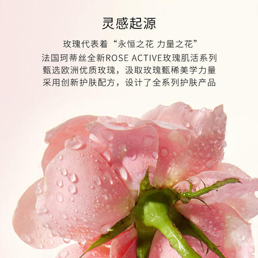 珂蒂丝奢养焕颜面膜100ml（限时加赠-瑰蜜水50ml*1） 商品图5