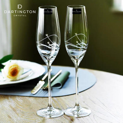 DARTINGTON英国进口水晶玻璃高脚起气泡香槟酒杯 商品图3