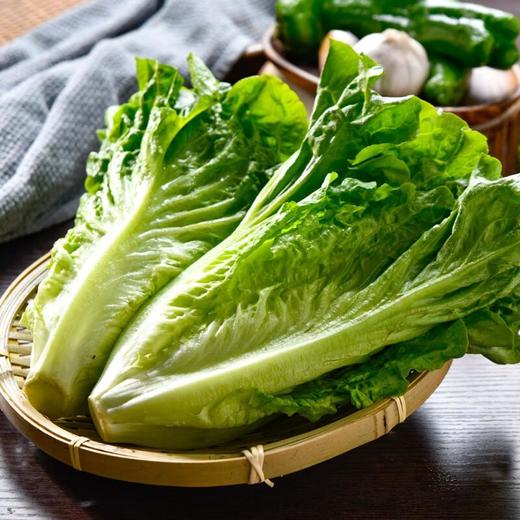 龙门山生菜 约300g/份（新鲜） 商品图2