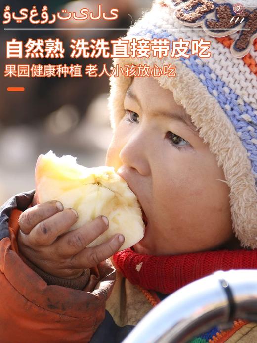 【冰糖阿克苏苹果来袭！】阿克苏冰糖心苹果 口口爆汁！冰糖心！口感十足！新鲜水果整箱包邮红富士当季丑甜平果-LC24GG6 商品图1