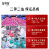【鸿运当头】冻干玫瑰鲜花茶小罐礼盒24g（8g*3） 商品缩略图4