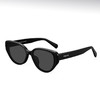 普莱斯新款太阳镜 PBS24017A  新颖猫眼造型 板材镜框TAC镜片 男女同款 四色可选 商品缩略图0