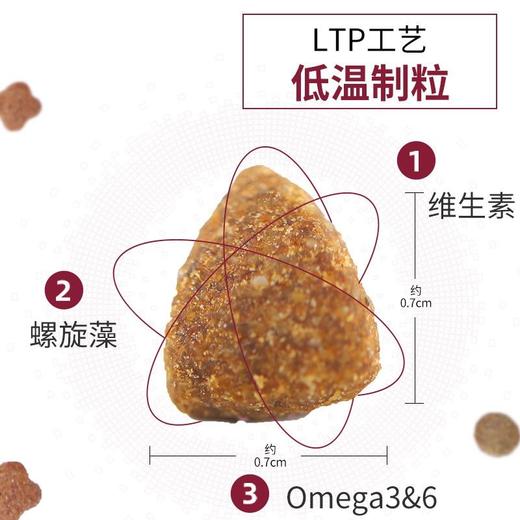 【8348】麦富迪 藻趣儿 三文鱼 【成年期】猫粮 1.5kg 商品图6