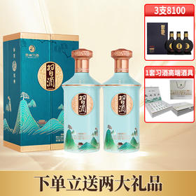 【华玺 618限时】习酒 印象贵州 53度 酱香型  500ml *2  双支