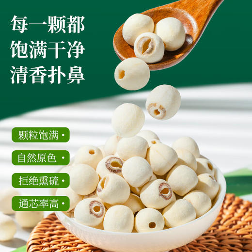 神农金康 湘莲子250克/罐 通心磨皮干货银耳糯耳羹配料 原生态真滋补 喝护家人健康 商品图3