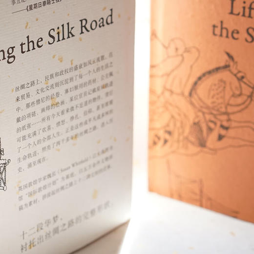 丝绸之路：十二种唐朝人生（英）魏泓 著 商品图8