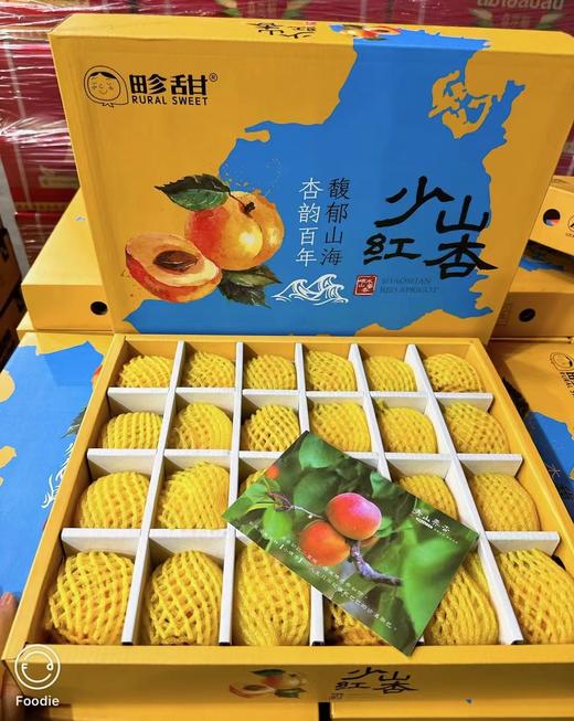 崂山蜜杏 商品图1