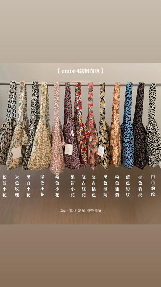 emis帆布包（zx锁 商品图10