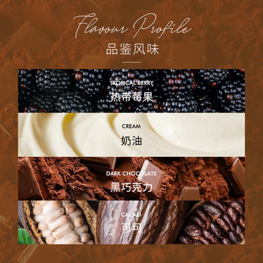 【甄选白金系列】泰摩牙买加黑桶蓝山 圣科娜庄园咖啡豆-100g 商品图1