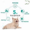 【8348】麦富迪 藻趣儿 三文鱼 【成年期】猫粮 1.5kg 商品缩略图4