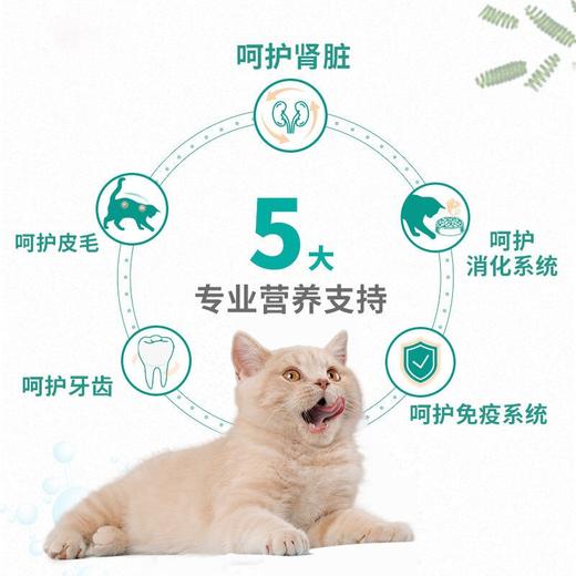 【8348】麦富迪 藻趣儿 三文鱼 【成年期】猫粮 1.5kg 商品图4