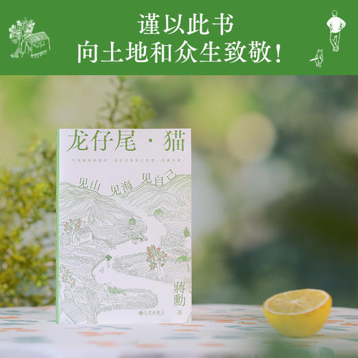 龙仔尾·猫：见山见海见自己（蒋勋全新散文、绘画、书法、摄影，一部静心疗愈之作！人生缓缓，自有答案）([中国台湾] 蒋勋) 商品图2