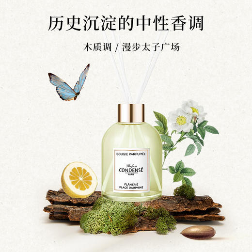 珂蒂丝法国寻香系列室内拓香香薰摆件 商品图4