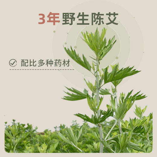 【会员专享】后辰石碾药香艾灸三年陈艾南阳艾古法手工微烟控温 商品图4