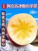 【冰糖阿克苏苹果来袭！】阿克苏冰糖心苹果 口口爆汁！冰糖心！口感十足！新鲜水果整箱包邮红富士当季丑甜平果-LC24GG6 商品缩略图0