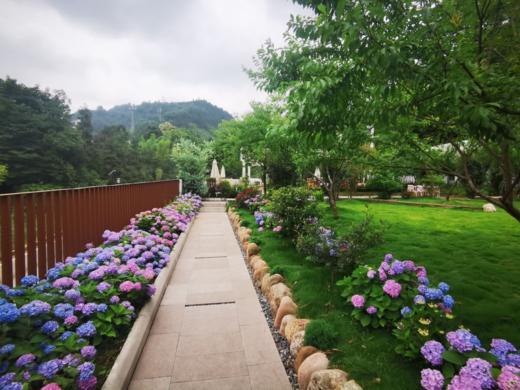 【邛崃-253号院】3房独栋民宿小院，天台山脚下，看萤火虫，避暑，临溪，玩水，登山徒步，厨房等配套，ghl 商品图4