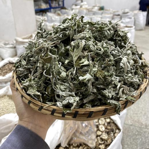 艾叶   艾草 商品图1