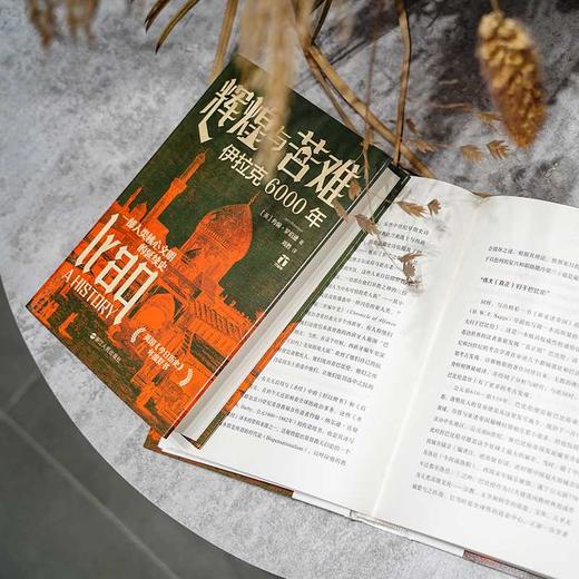 好望角丛书·辉煌与苦难：伊拉克6000年(〔英〕约翰·罗伯逊) 商品图3