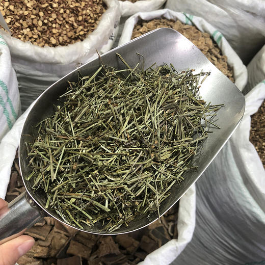 半枝莲 当季新货 农家生晒 中药材 商品图2