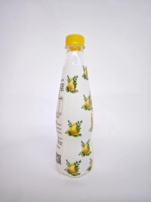 D初好刺梨气泡饮料（华铁版）380ml/瓶 商品图2
