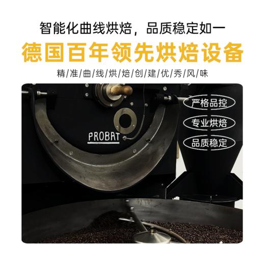 肯尼亚SOE 商品图3