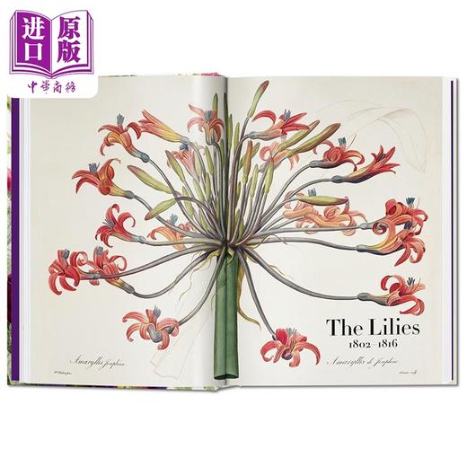 【中商原版】Redouté Book of Flowers 进口艺术 雷杜德 花之书 40周年纪念版 植物花卉手绘插画作品集 商品图3