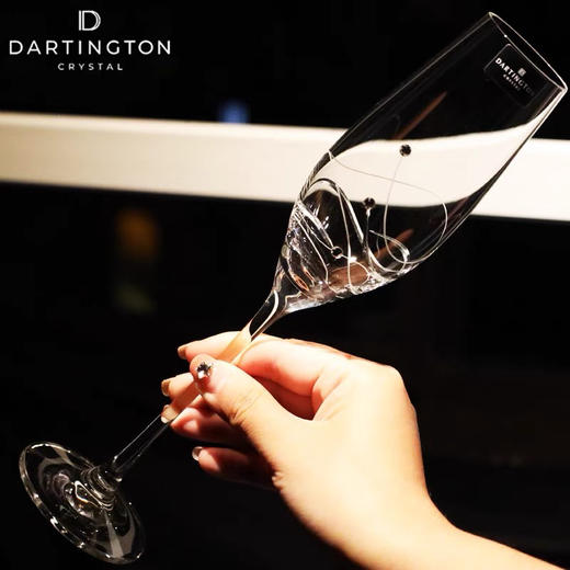 DARTINGTON英国进口水晶玻璃高脚起气泡香槟酒杯 商品图1