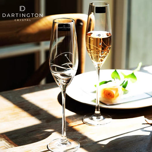 DARTINGTON英国进口水晶玻璃高脚起气泡香槟酒杯 商品图2